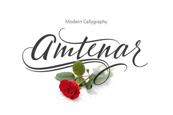 Amtenar: The Elegant Script Font for Modern Marketers